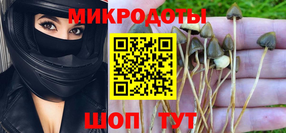 Рубцовск  Галлюциногенные грибы ЛСД  где продают   Вход с VPN 