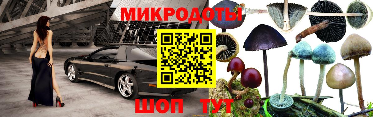 Псилоцибиновые грибы мицелий Рубцовск